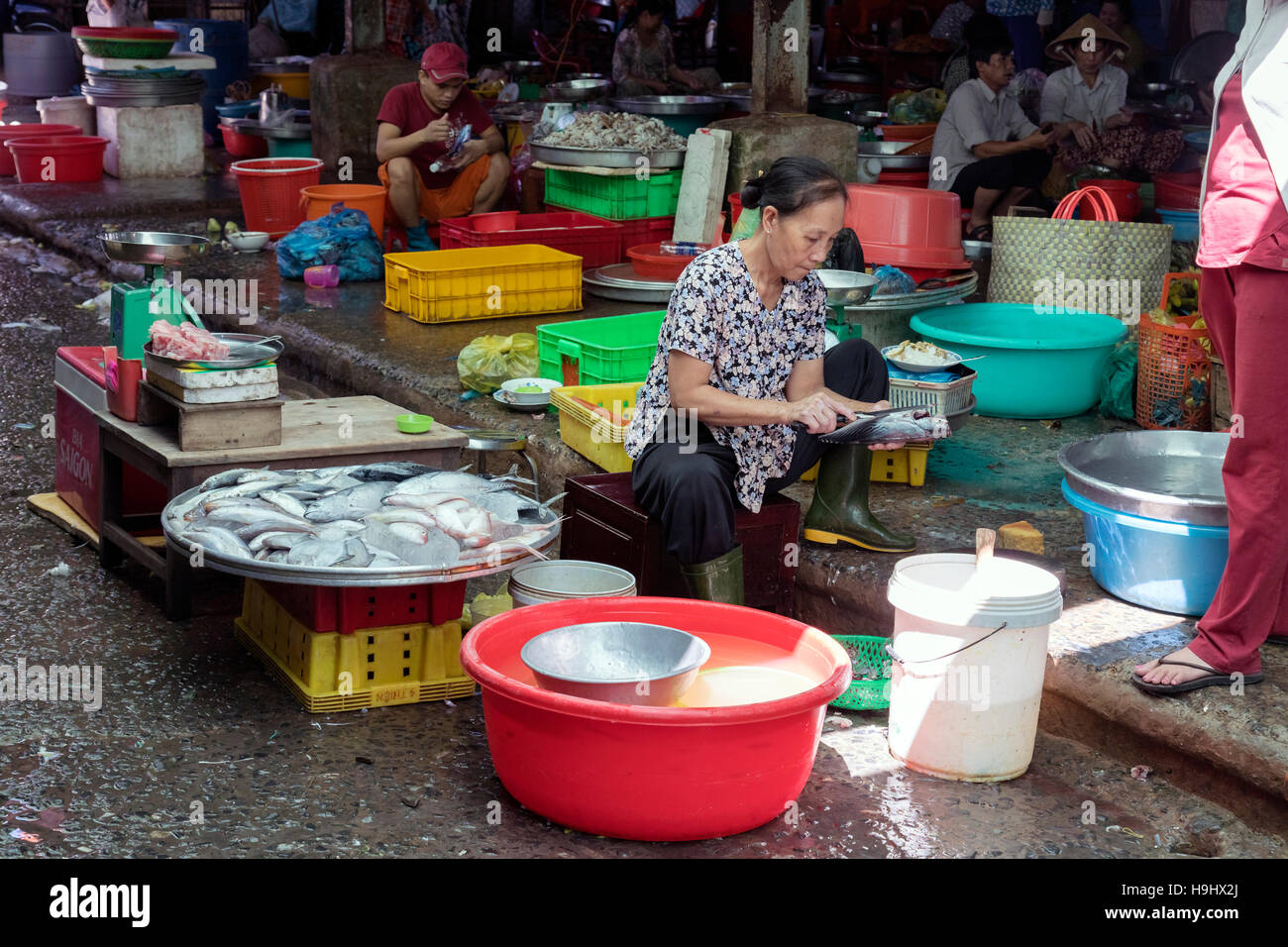 Marché de poisson de Vinh Long, Delta du Mékong, Vietnam, l'Indochine, l'Asie Banque D'Images