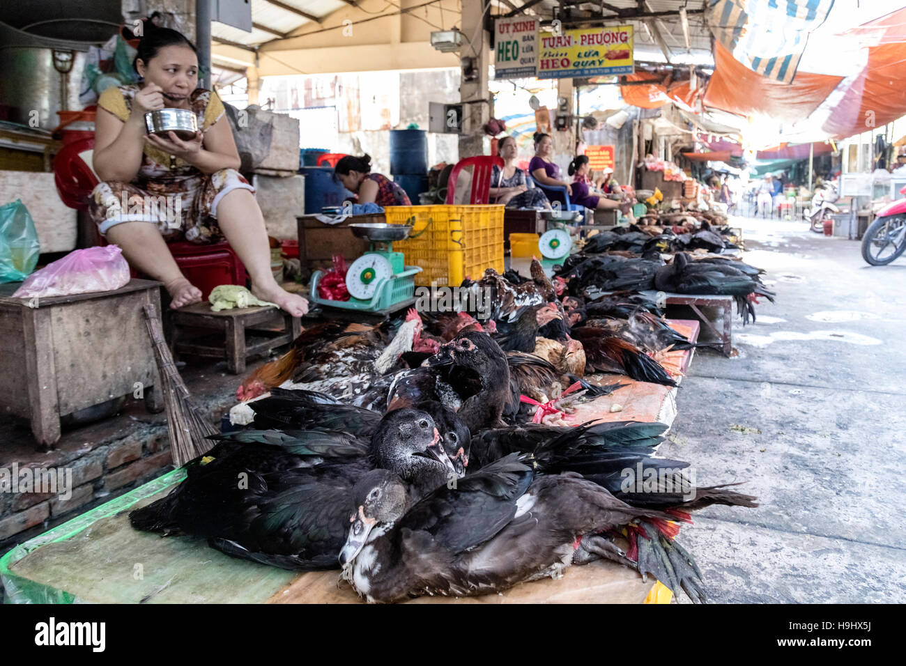 Les canards vivants pour la vente sur un marché local dans la région de Vinh Long Delta du Mékong Vietnam ; ; ; Banque D'Images