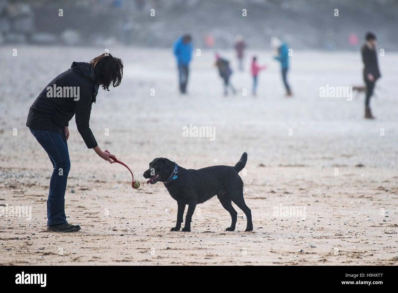 Un chien et son maître jouer avec une balle sur la plage de Fistral, Newquay, Cornwall. Banque D'Images
