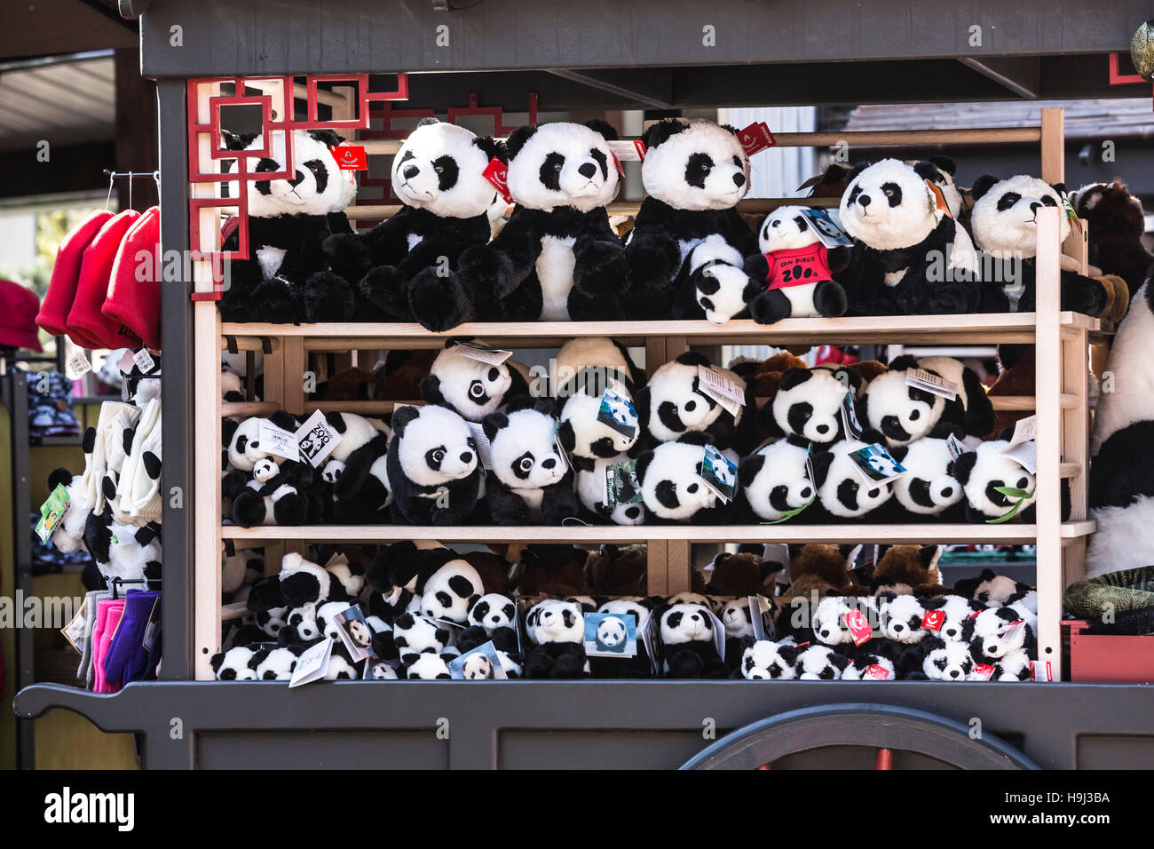 Panda en peluche jouets au San Diego Zoo's panda pièce Photo Stock - Alamy