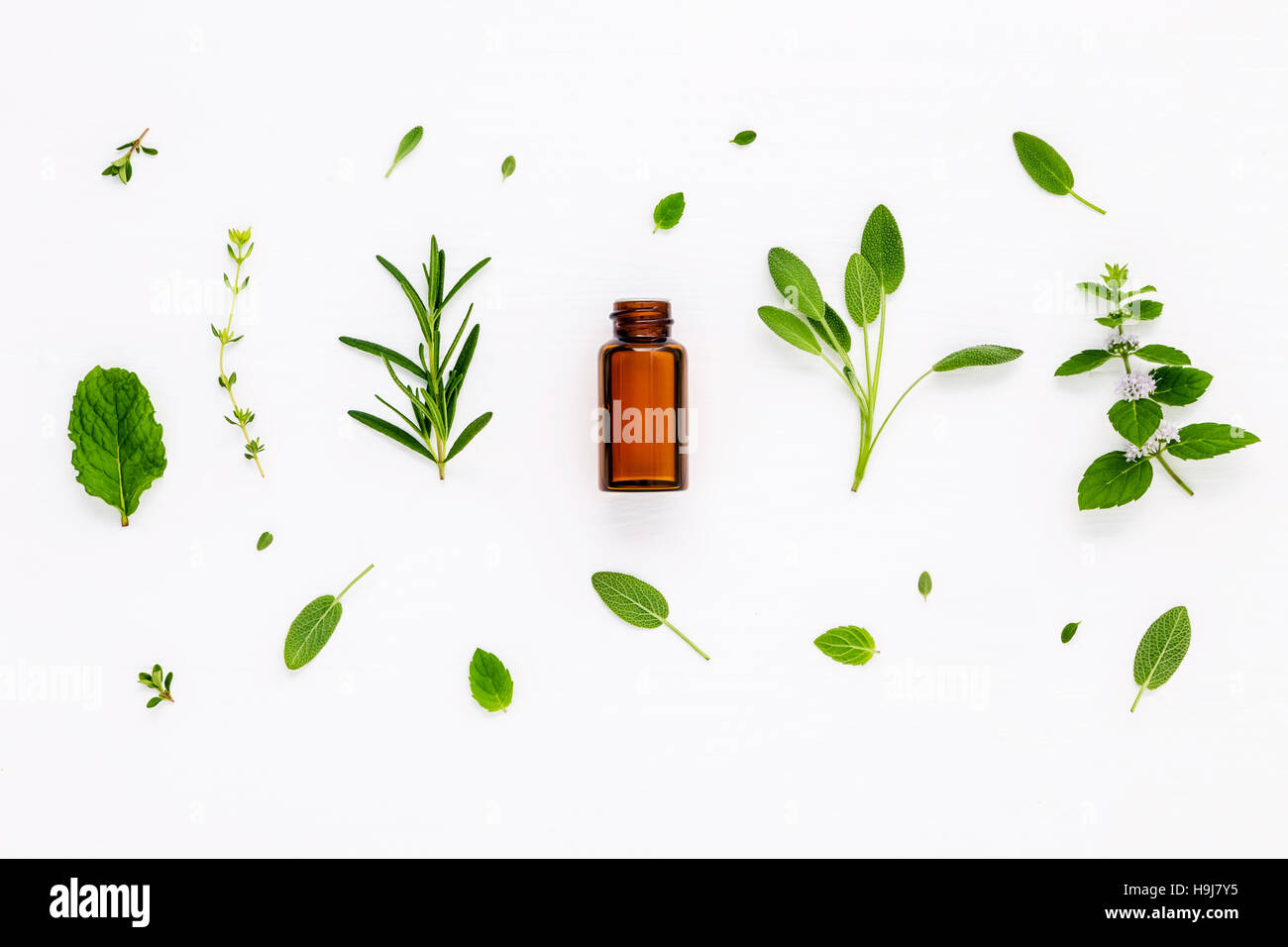 Bouteille d'huile essentielle avec de fines herbes fraîches sauge, romarin, citron Banque D'Images