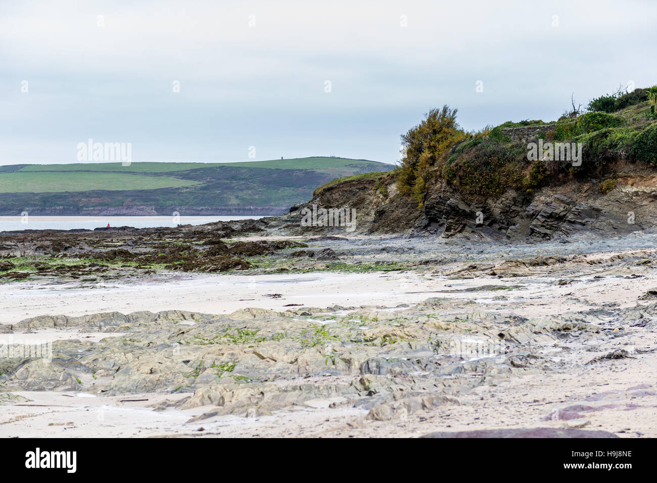 L'ensemble de Daymer Bay vers Padstow Bay, au nord de la côte de Cornwall est un mélange de superbes plages et criques rocheuses. Banque D'Images