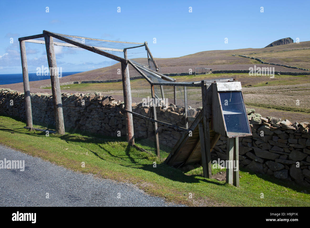 Piège Helgoland / piège entonnoir pour le piégeage des oiseaux, afin qu'ils puissent être bordés par les ornithologues sur Fair Isle, Shetland, Écosse Banque D'Images