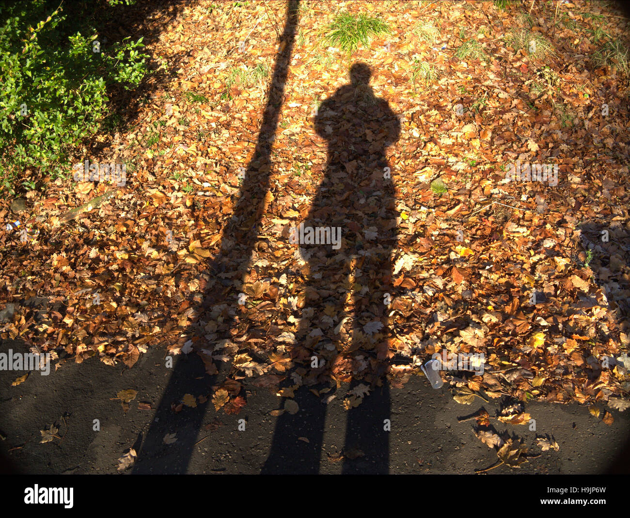 Feuilles d'automne à fond silhouette photographes Banque D'Images