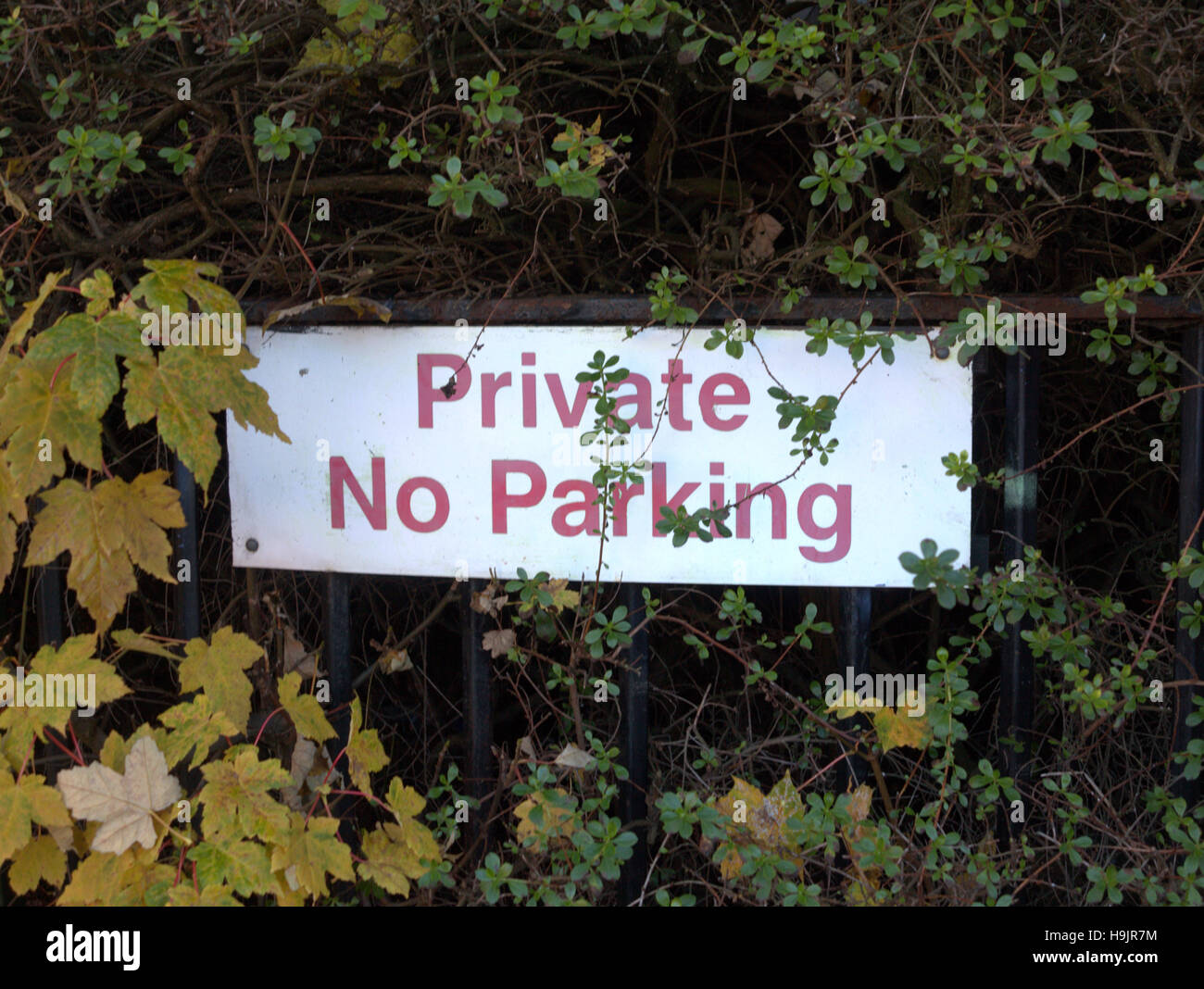 Pas de parking privée signe à l'automne feuilles d'établissement et arbustes Banque D'Images