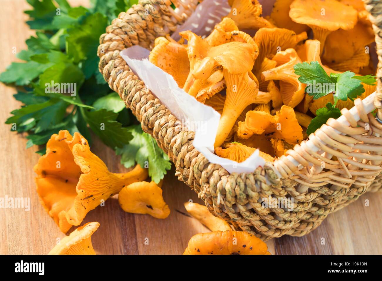 Panier de Girolles et de persil plat Banque D'Images