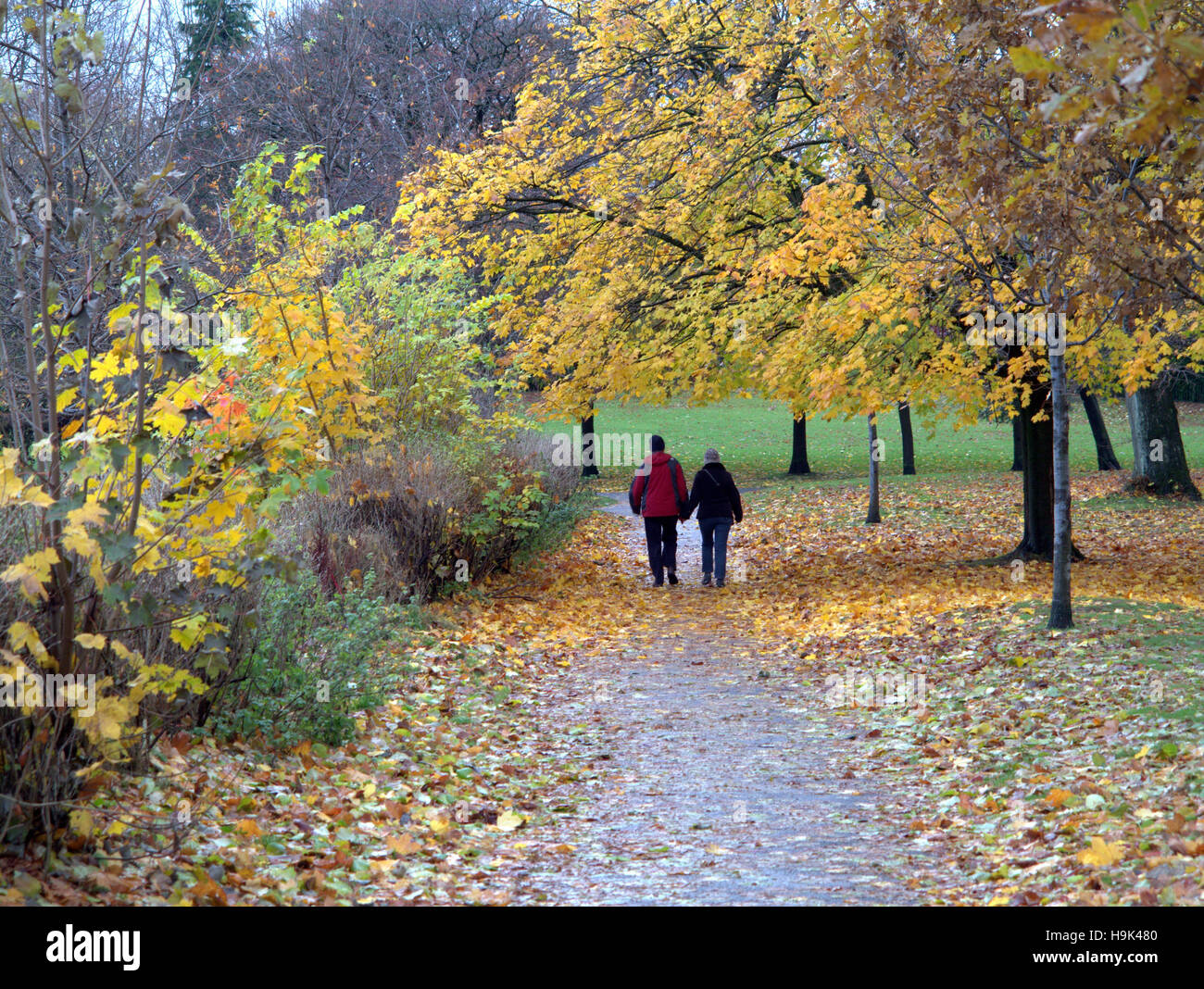 Scène parc de Glasgow couple holding hands and walking on path ou road Banque D'Images