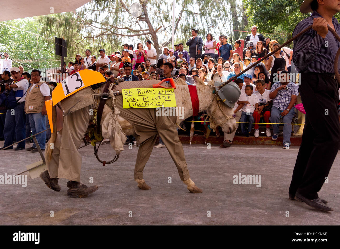 Concours au cours de l'âne vêtu juste d'Âne (Feria del burro) à Otumba, Mexique Banque D'Images