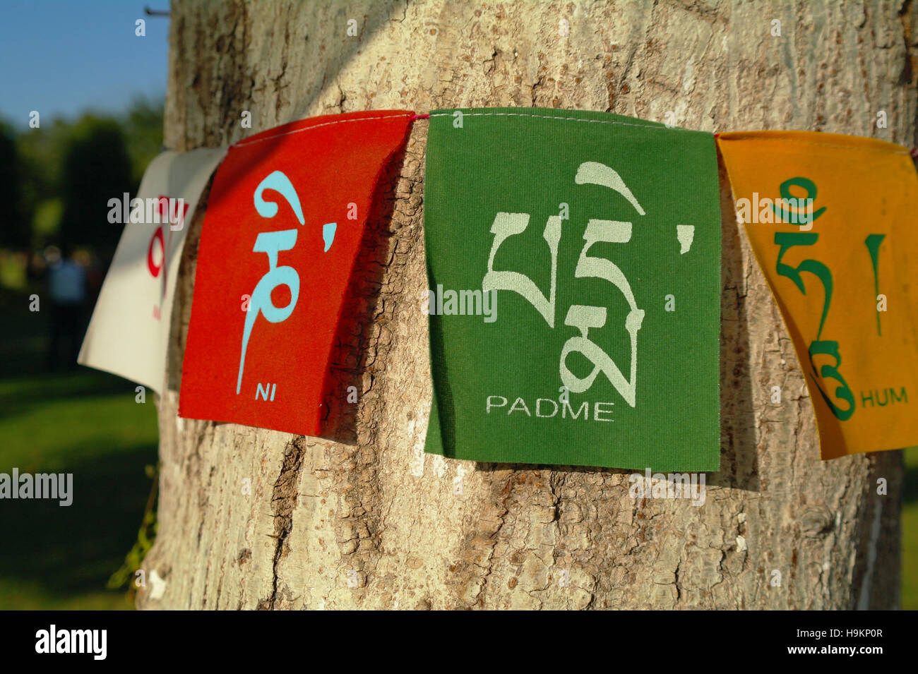 Les drapeaux de prières du Temple de la Mahabodhi à Bodhgaya, Inde, Banque D'Images Les drapeaux de prières du Temple de la Mahabodhi à Bodhgaya, Inde, Banque D'Images
