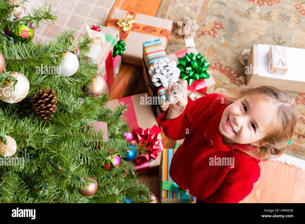 Heureux fier petite fille exhibant son cadeau de Noël de hamster avec un sourire rayonnant de plaisir alors qu'elle se tient au pied d'un tre Noël Décoration Banque D'Images