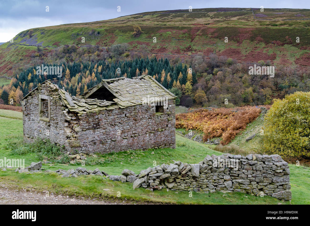 Chutes d'Kisdon à pied, Upper Swaledale, Yorkshire Dales National Park Banque D'Images