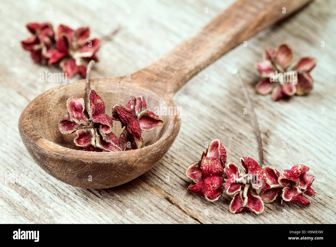 Close up de cuillère en bois et d'herbes séchées ou d'épices Banque D'Images