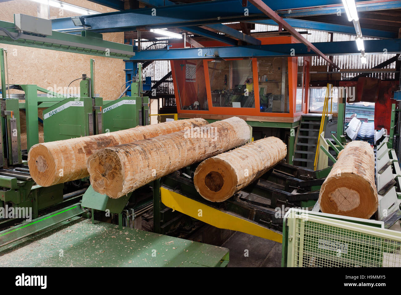 Machine de découpe sur bois dans l'usine de transformation du bois, Templin, Uckermark district de Brandenurg, Allemagne. Banque D'Images