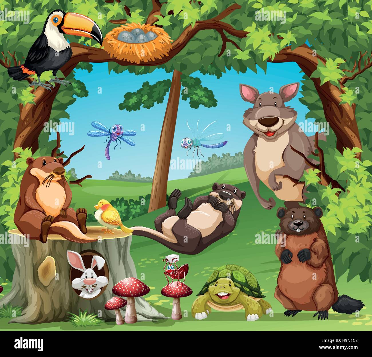 De nombreuses espèces sauvages vivant dans les bois illustration Illustration de Vecteur
