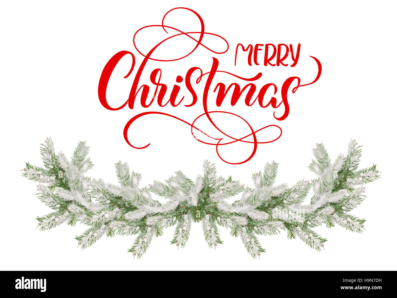 Branches de sapin dans la neige sur un fond blanc et texte de joyeux Noël. calligraphie lettrage Banque D'Images
