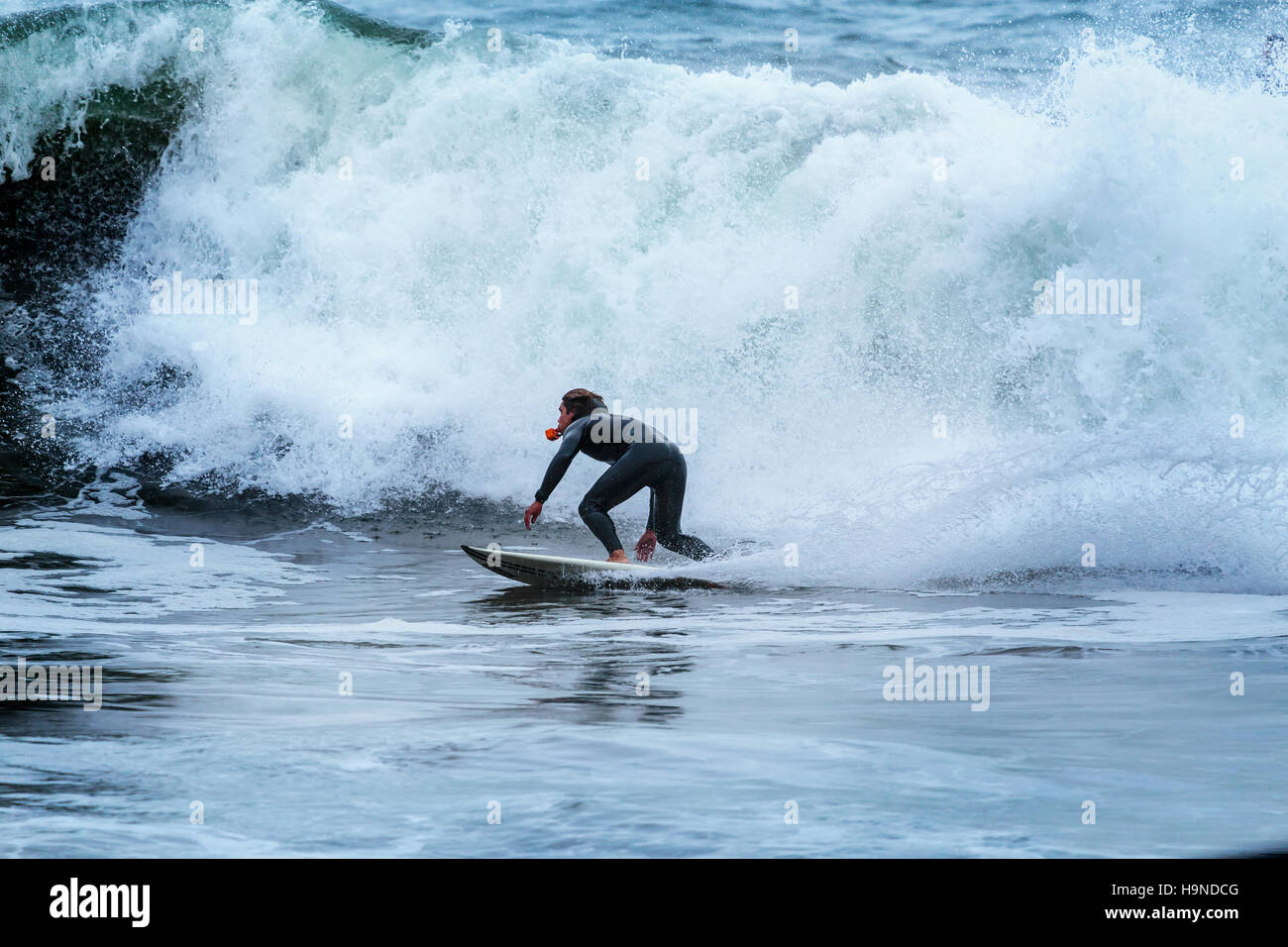 Surfeur Californie Rodeo Beach près de la Golden Gate Bridge Banque D'Images