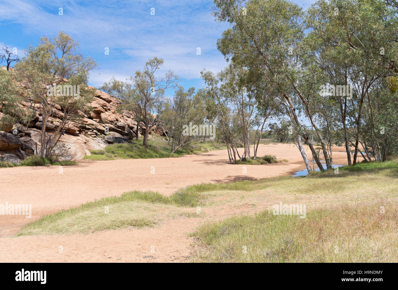 Bassin de la rivière Todd sec affleurement rocheux et la rivière Red gum ou eucalyptus camaldulensis arbres près d'Alice Springs dans le territoire du nord de l'Australie Banque D'Images