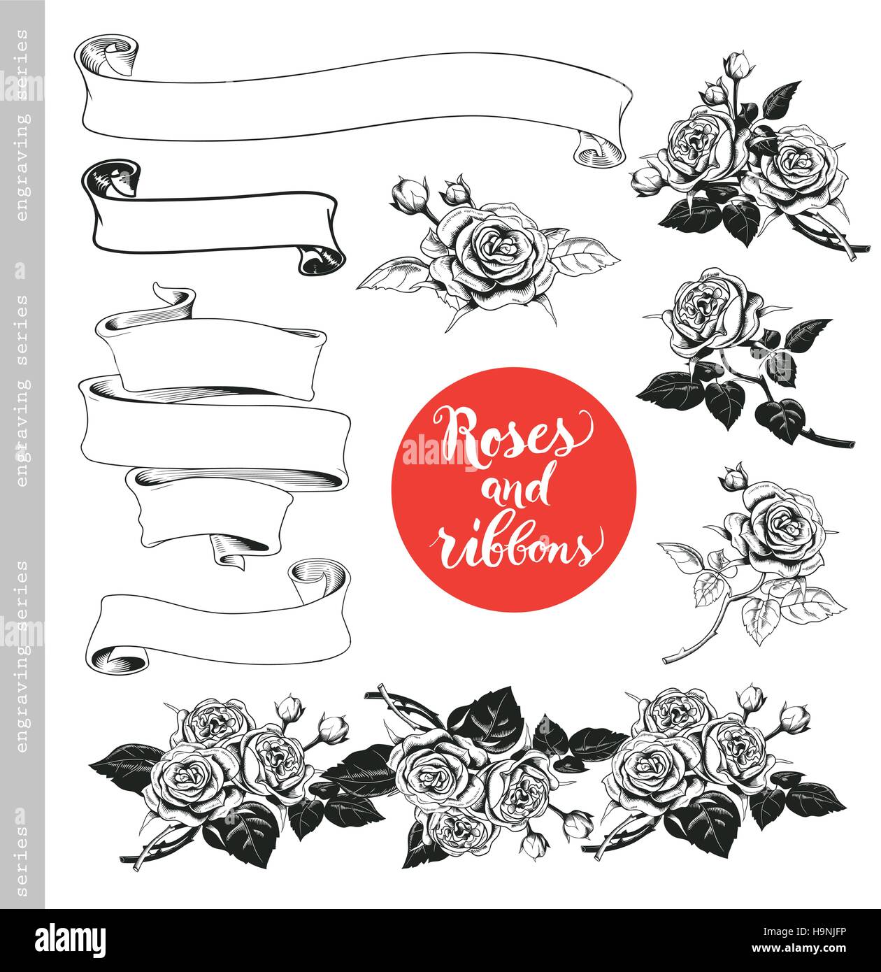 Ensemble de roses blanches et de rubans en vintage style gravure. Éléments de décoration baroque. Doodles fleurs, feuilles, branches, fleurs, des bannières. Bon pour S Illustration de Vecteur