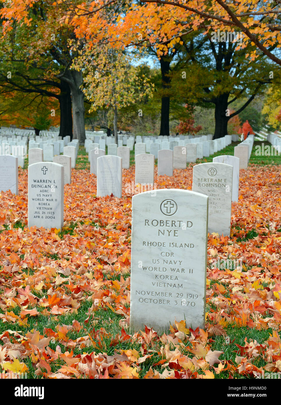 Pierres tombales au cimetière national d'Arlington, à Washington DC, États-Unis d'Amérique Banque D'Images