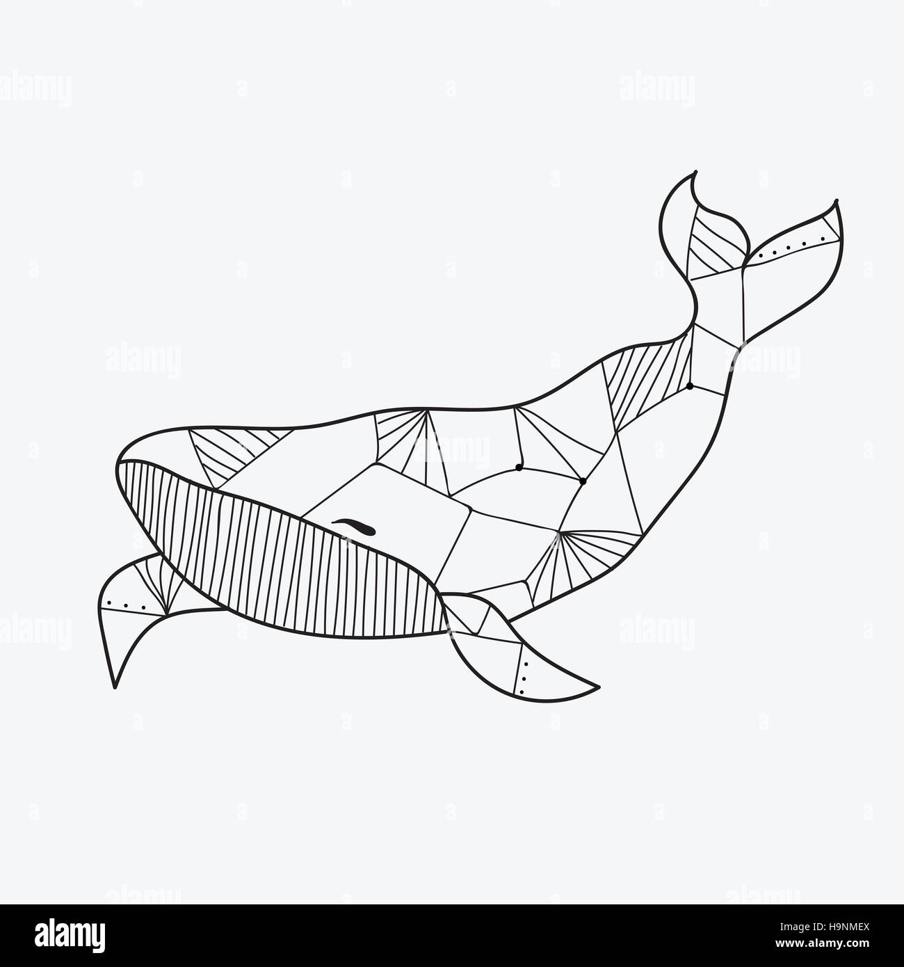 Livre De Coloriage De Baleines Pour Les Adultes Illustration Vecteur Ligne Style Noir Et Blanc Image Vectorielle Stock Alamy