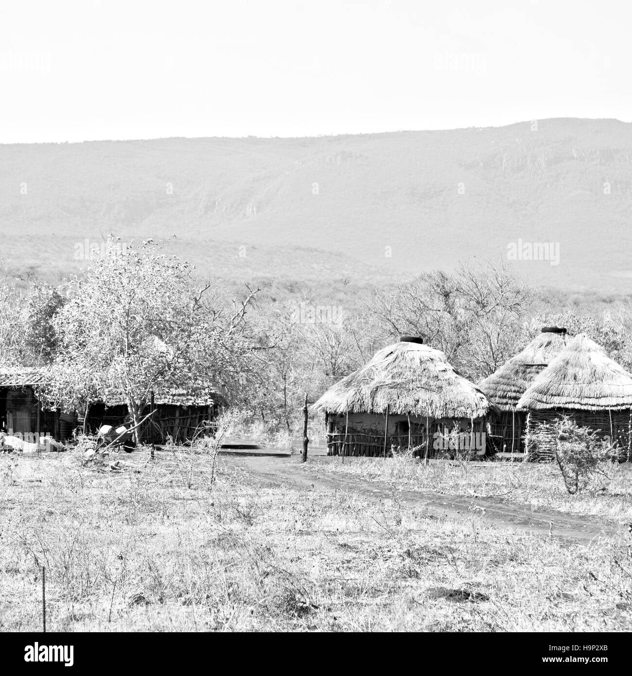 Blur au Lesotho malealea street village près de cour et terrain coultivation Banque D'Images