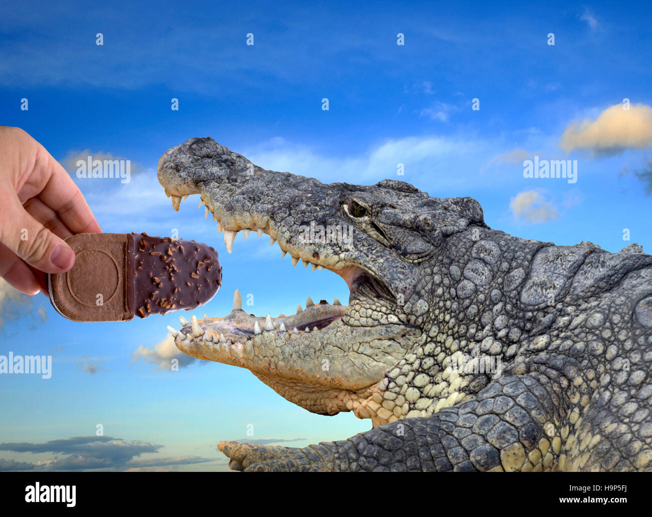 Donner la main avec une crème glacée manger un crocodile, fera connaître conceptuel Photo Stock