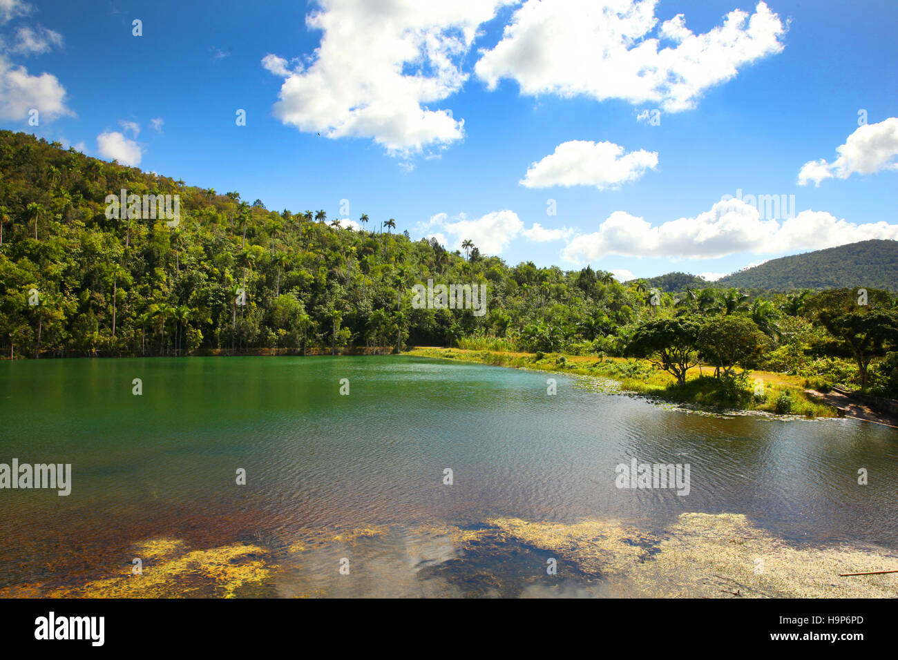 Magnifique lac dans la région de Las Terrazas, Viñales, Cuba, Caraïbes. Banque D'Images