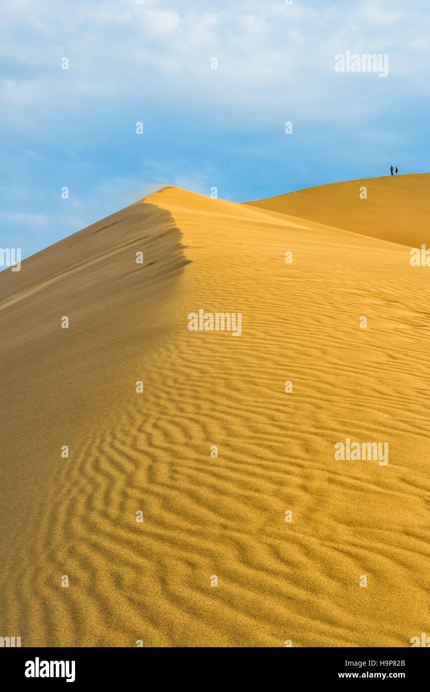 Le chant des dunes, Altyn-Emel National Park, région d'Almaty, Kazakhstan, en Asie centrale, Asie Banque D'Images