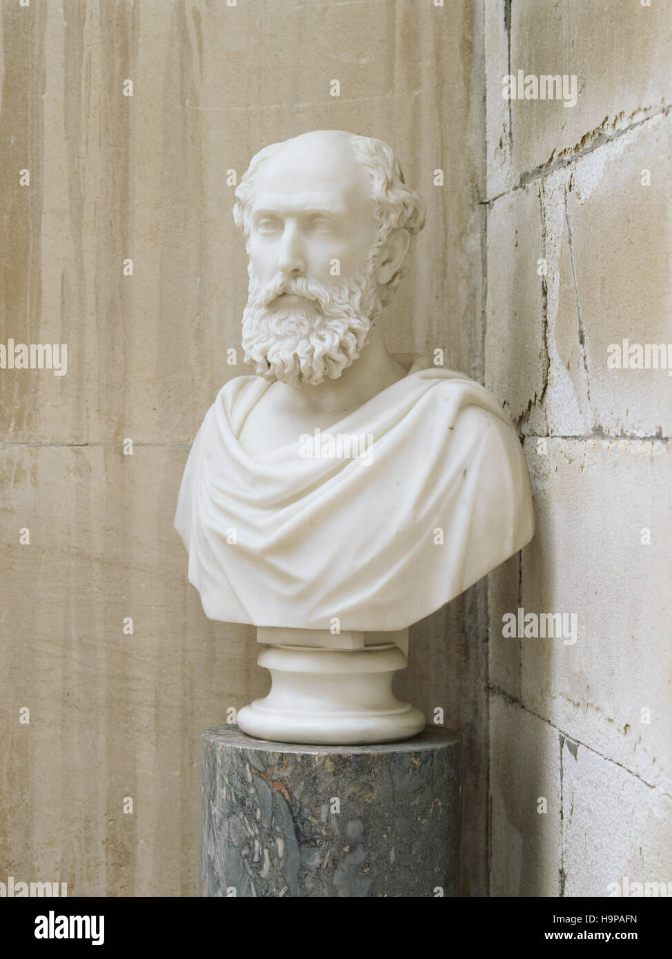 Bust (xixe siècle) de l'anglais William Henry Pole-Carew (1811-88) dans le porche à Antony House. Banque D'Images