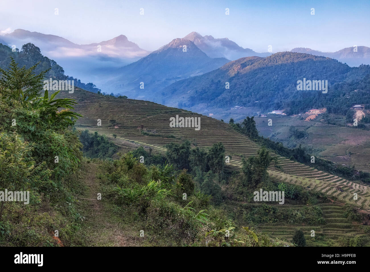 Terrasses de riz, Lao Chai, SAPA, Vietnam, Asie Banque D'Images