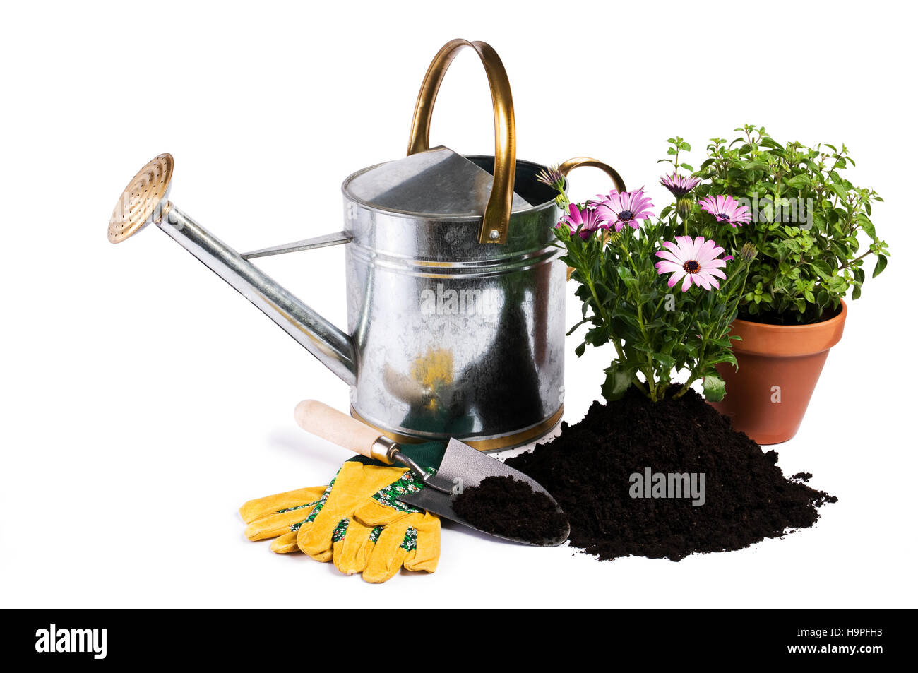 Arrosoir avec fleur et isolés d'outils de jardinage Banque D'Images