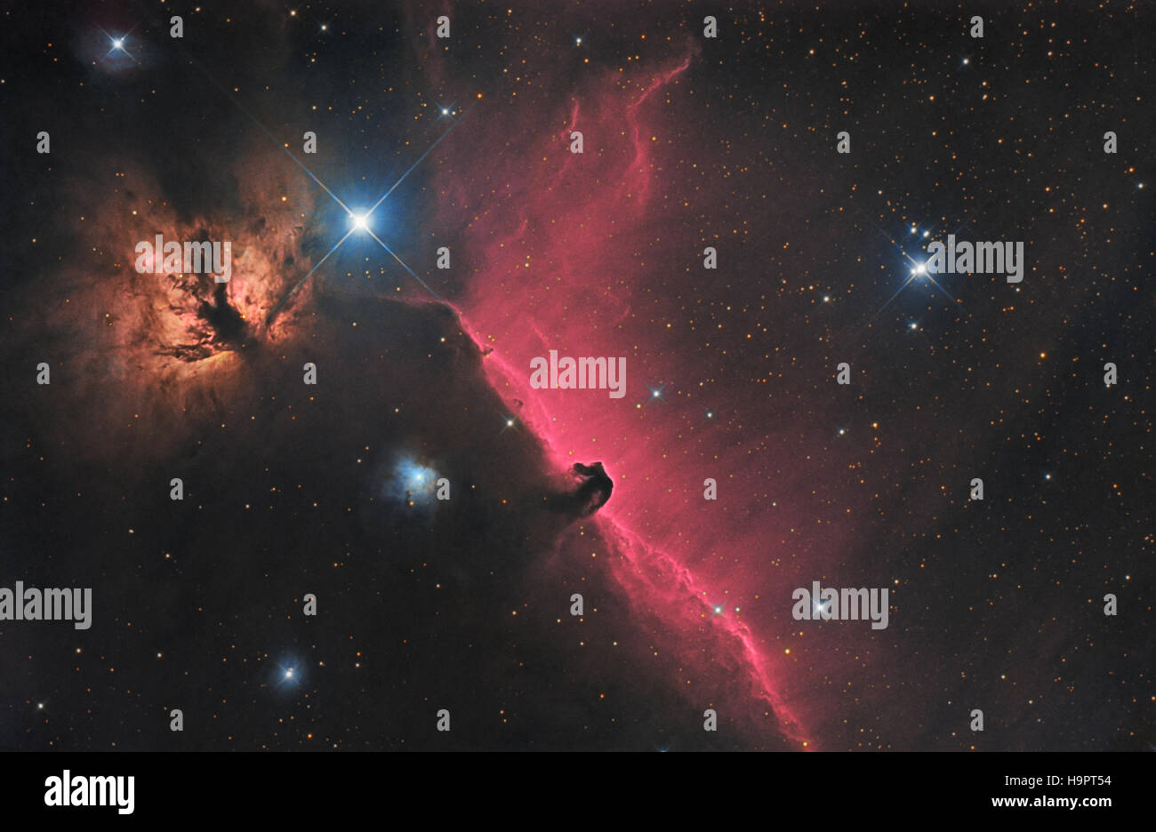 Horsehead (B33 contre 434) et de la résistance à l'IC (NGC 2024) dans la constellation d'Orion Nebula Banque D'Images