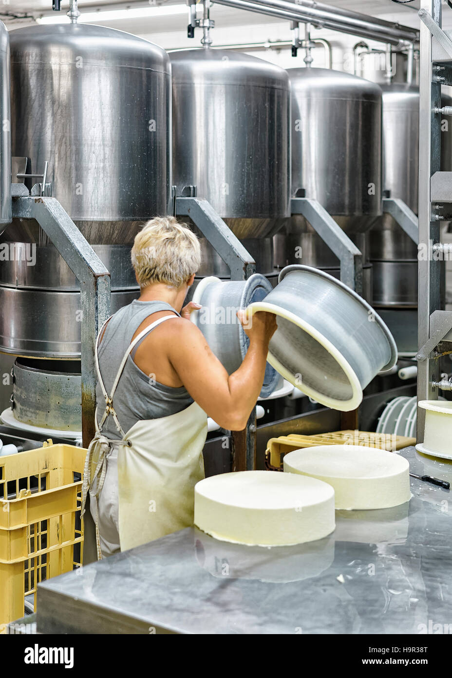 Fromager placer les jeunes du comté de gruyère dans les formes à la laiterie en Franche Comte, Bourgogne, France. Banque D'Images