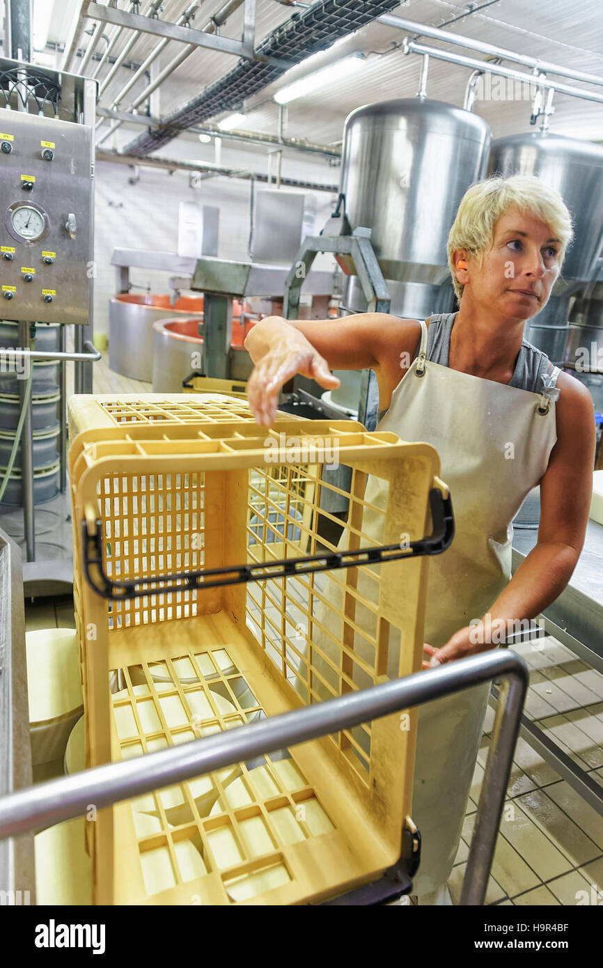 Evillers, France - 31 août 2016 : fromager travaillant à la laiterie pour la production de gruyère de comté en Franche Comte, Bourgogne, France Banque D'Images