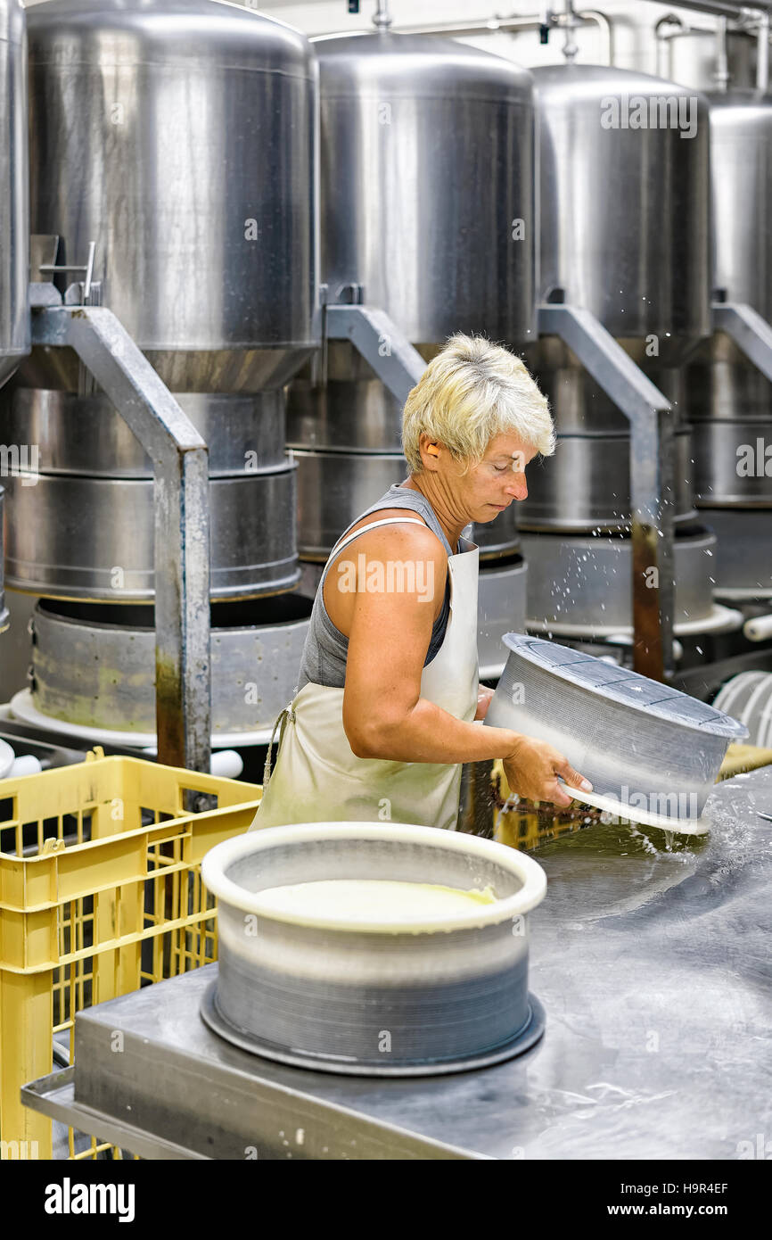 Evillers, France - 31 août 2016 : fromager placer les jeunes du comté de gruyère dans les formes dans l'industrie laitière en Franche Comte, Bourgogne, France. Banque D'Images