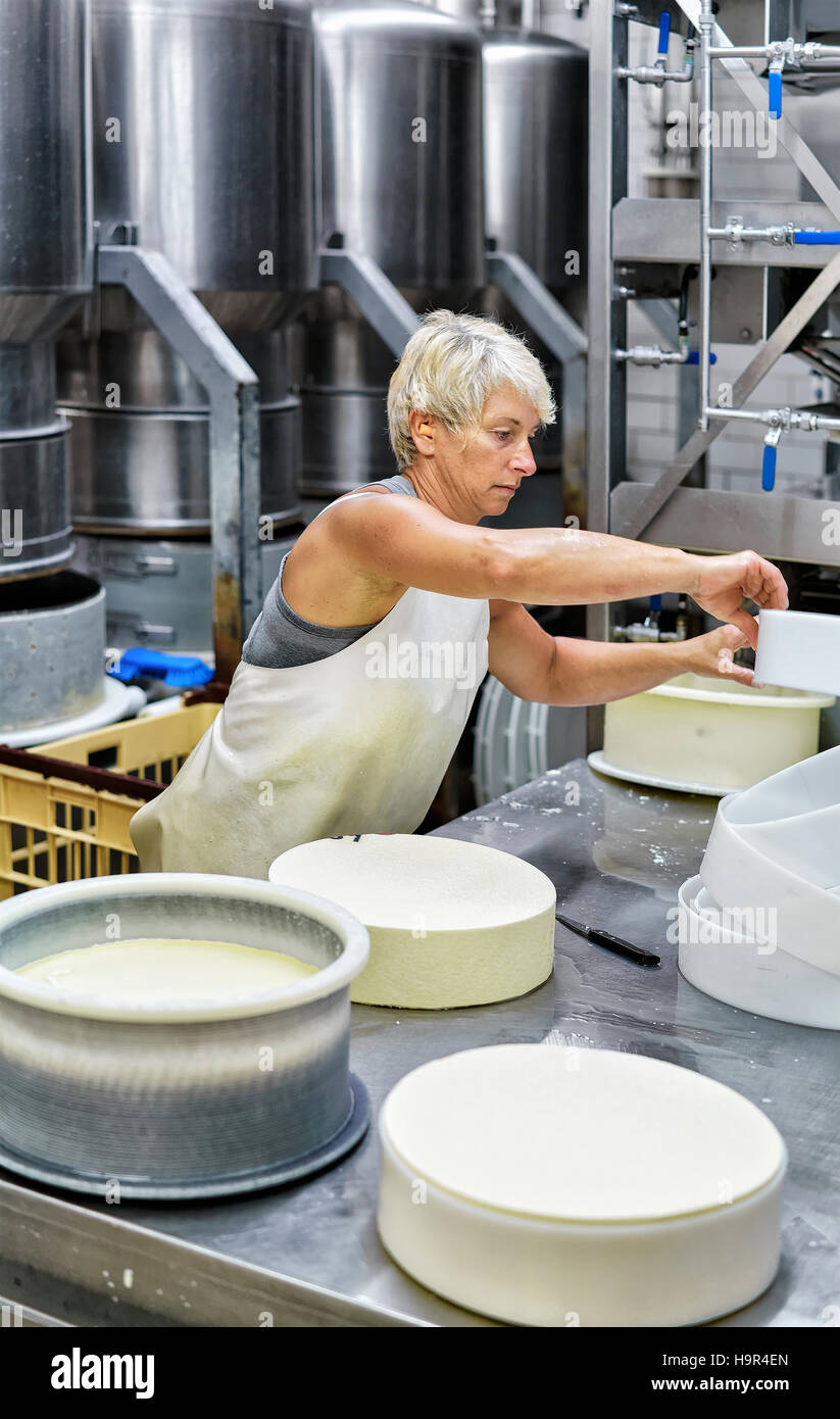 Evillers, France - 31 août 2016 : fromager placer les jeunes du comté de gruyère dans les formes à la laiterie en Franche Comte, Bourgogne, France. Banque D'Images
