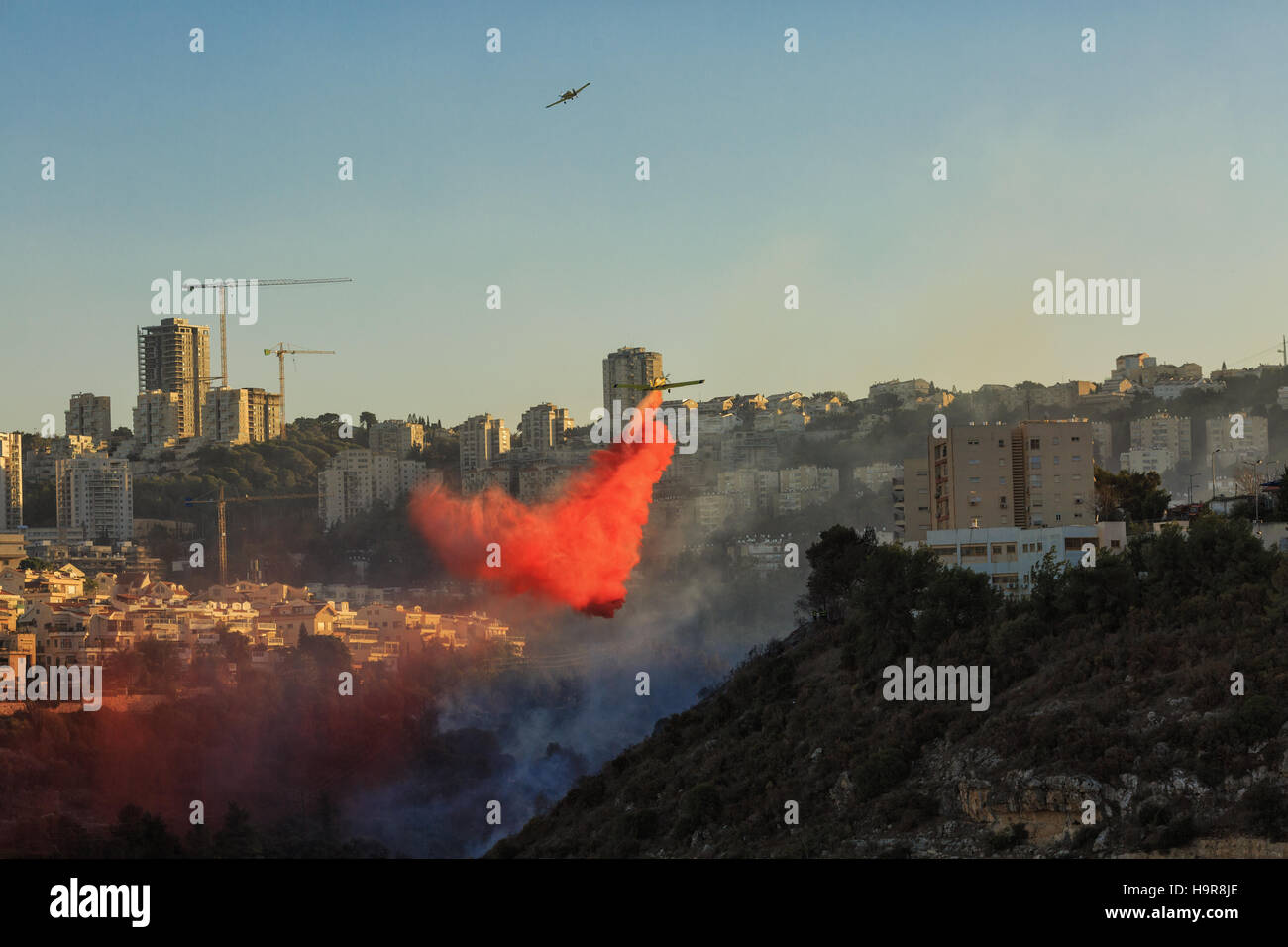 Haïfa, Israël. 24 novembre, 2016. Un terrible incendie, Haïfa, Israël. 24 Nov, 2016. Crédit : Natalia Zaika/Alamy Live News Banque D'Images