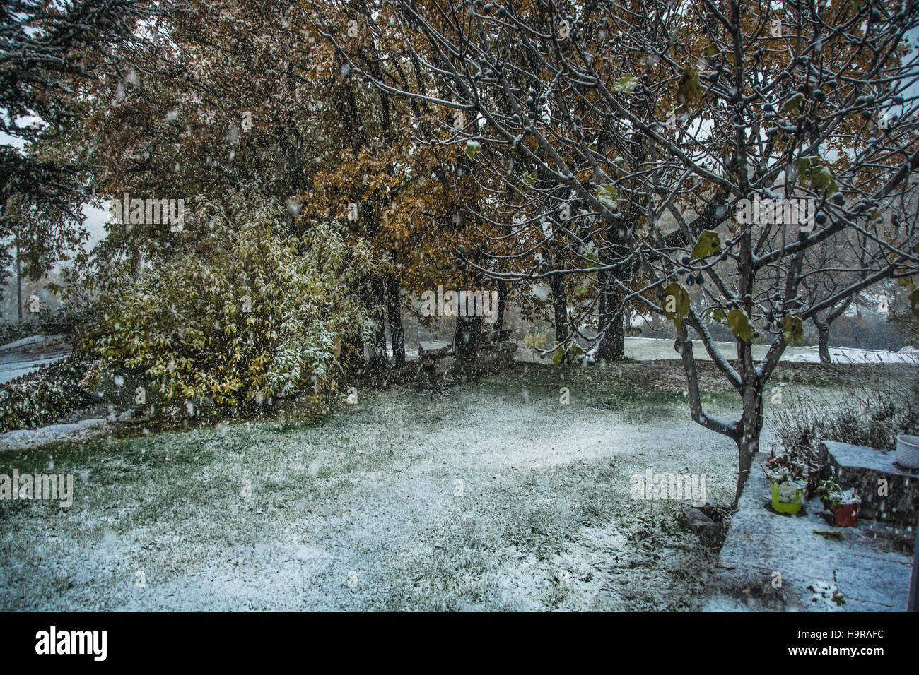 Cercedilla, Madrid, Espagne. 24 Nov, 2016. L'Espagne Temps ; La neige commence à tomber en Espagne. Dans l'image est la ville de Cercedilla c'est une municipalité de la communauté autonome de Madrid en Espagne centrale. Il est situé dans la sierra de Guadarrama. Credit : Alberto Ramírez Sibaja/Alamy Live News Banque D'Images