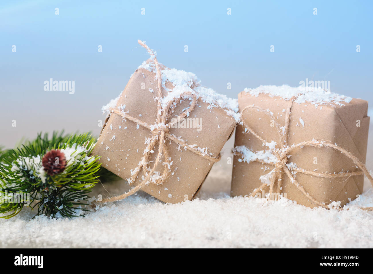 Boîtes cadeaux de papier kraft avec des branches d'épinette sur fond blanc Banque D'Images