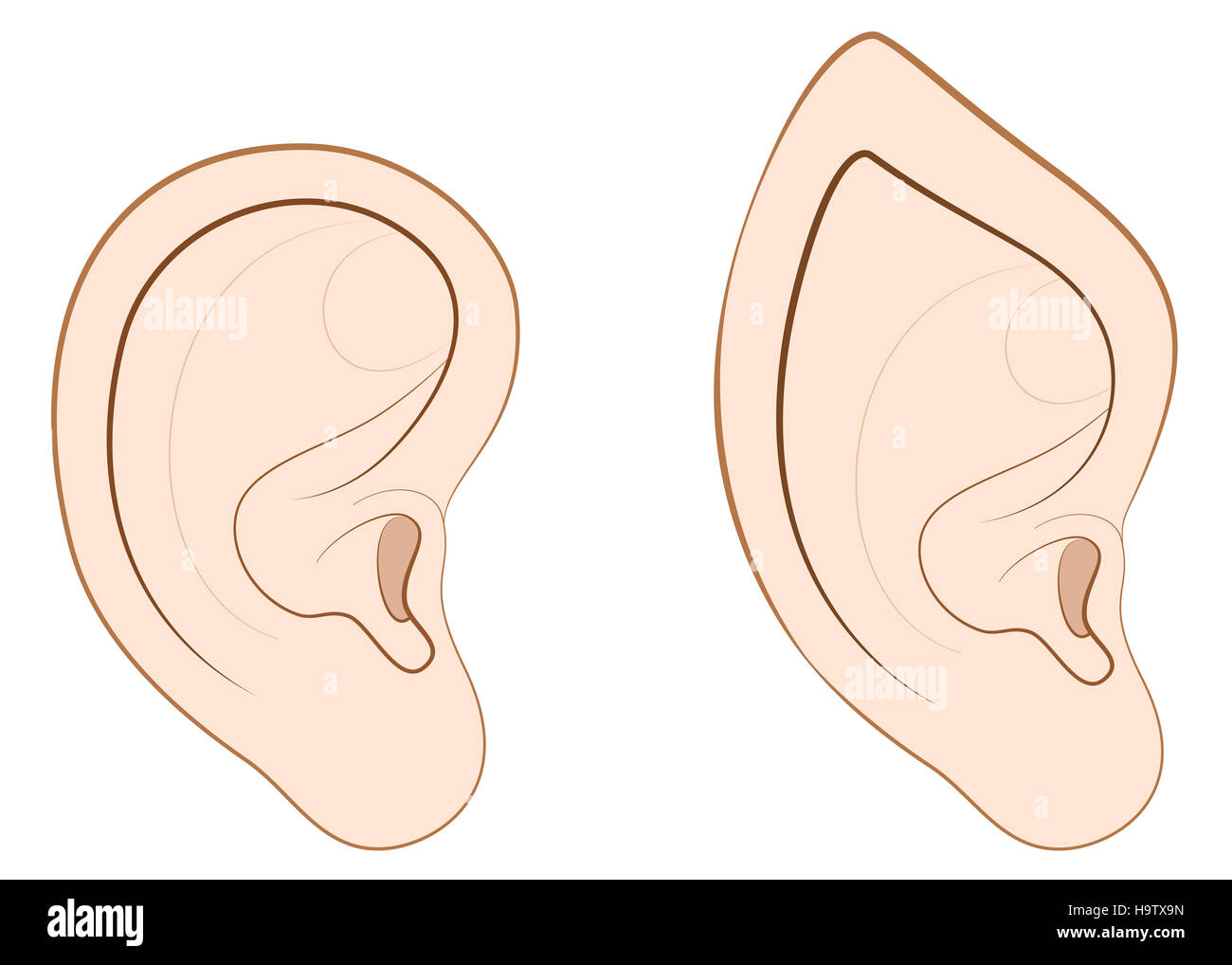 Les droits de l'oreille et a fait de l'oreille un elfe, fée, vampire ou autre créature fantastique. Banque D'Images