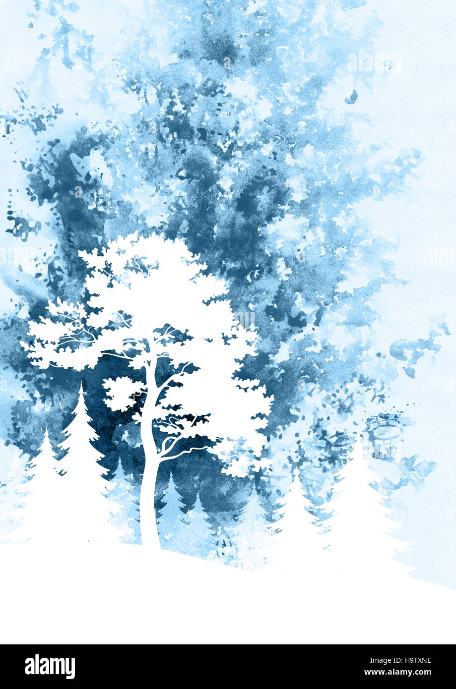 Paysage, pins et sapins Banque D'Images