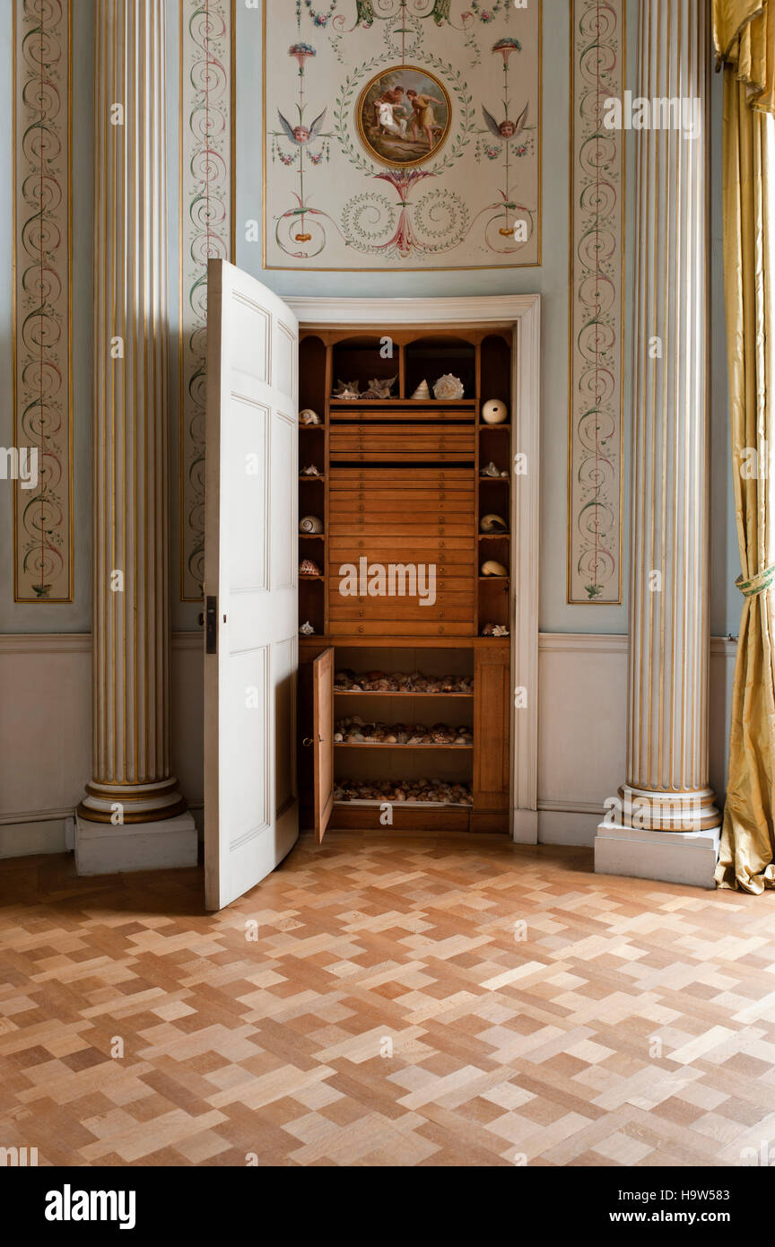 Une porte dans le boudoir pour révéler l'armoire contenant une collection de coquilles à Attingham Park, Shropshire. Banque D'Images