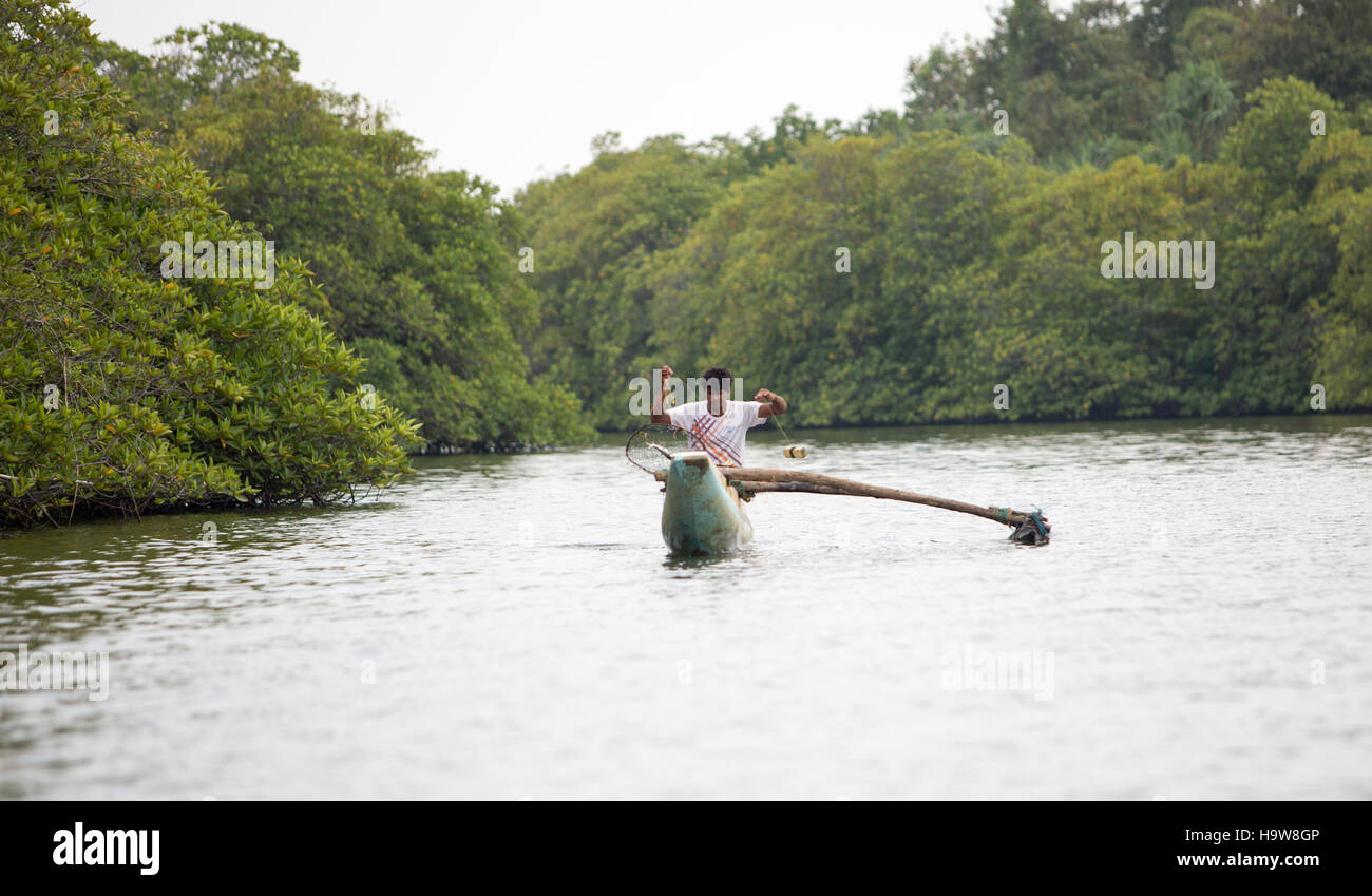 Safari en bateau rivière Madu Sri Lanka Banque D'Images