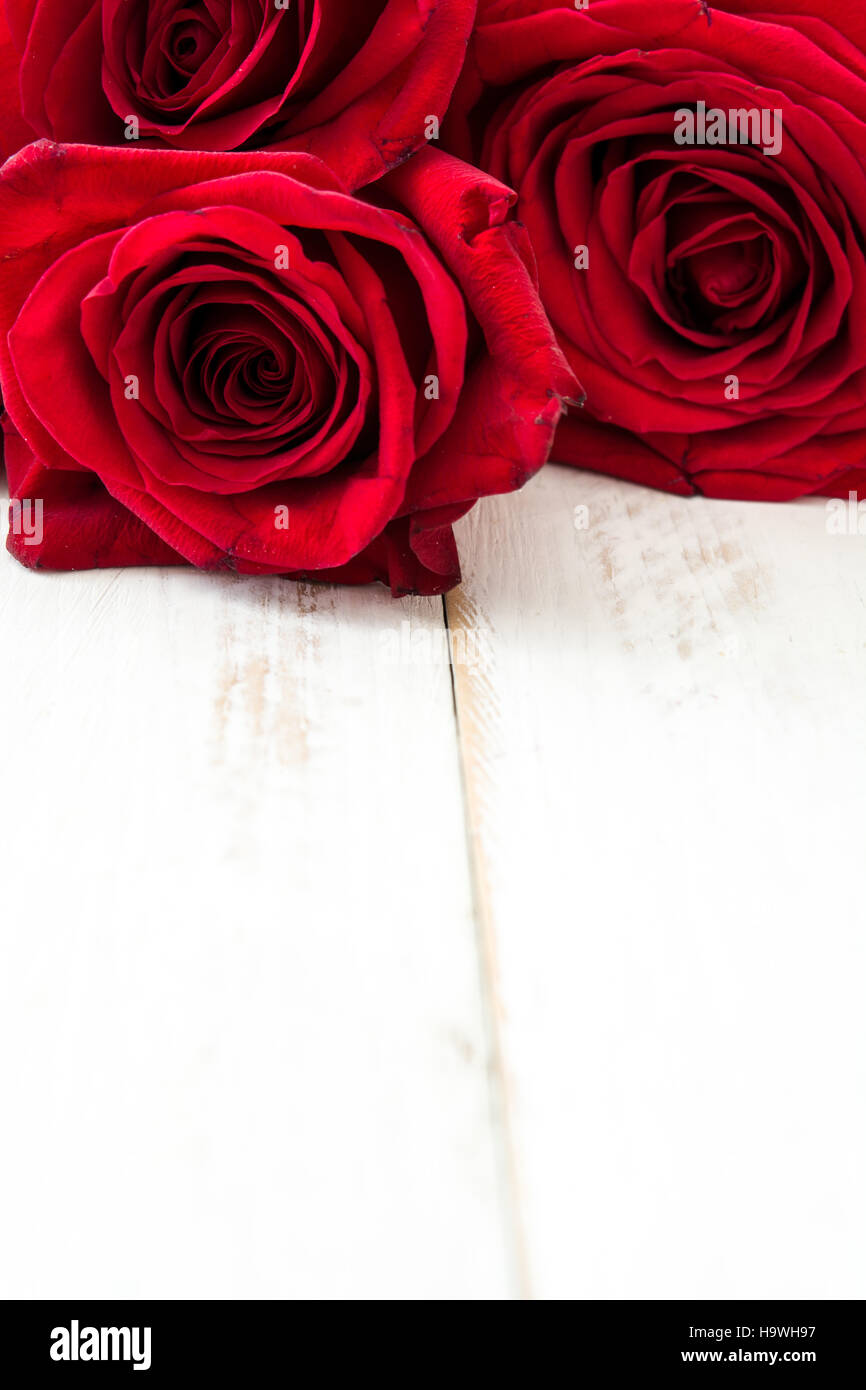 Roses rouges sur fond en bois blanc.copyspace Banque D'Images