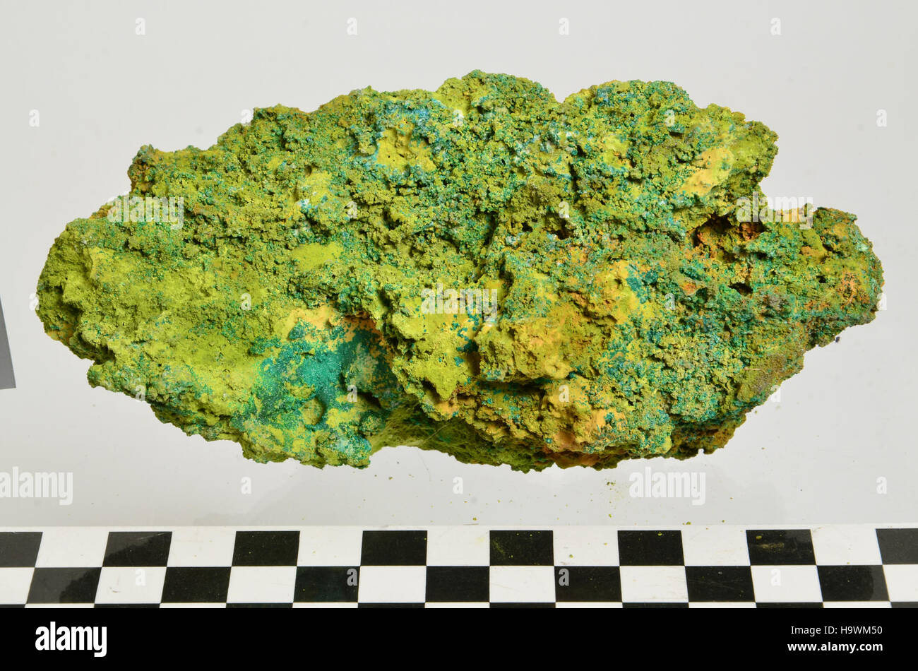 Cette image montre un spécimen minéral trouvé dans le parc national du Grand Canyon. La phillipsbornite, ainsi que d'autres minéraux, souligne la diversité géologique du parc et son importance pour la recherche scientifique. Banque D'Images