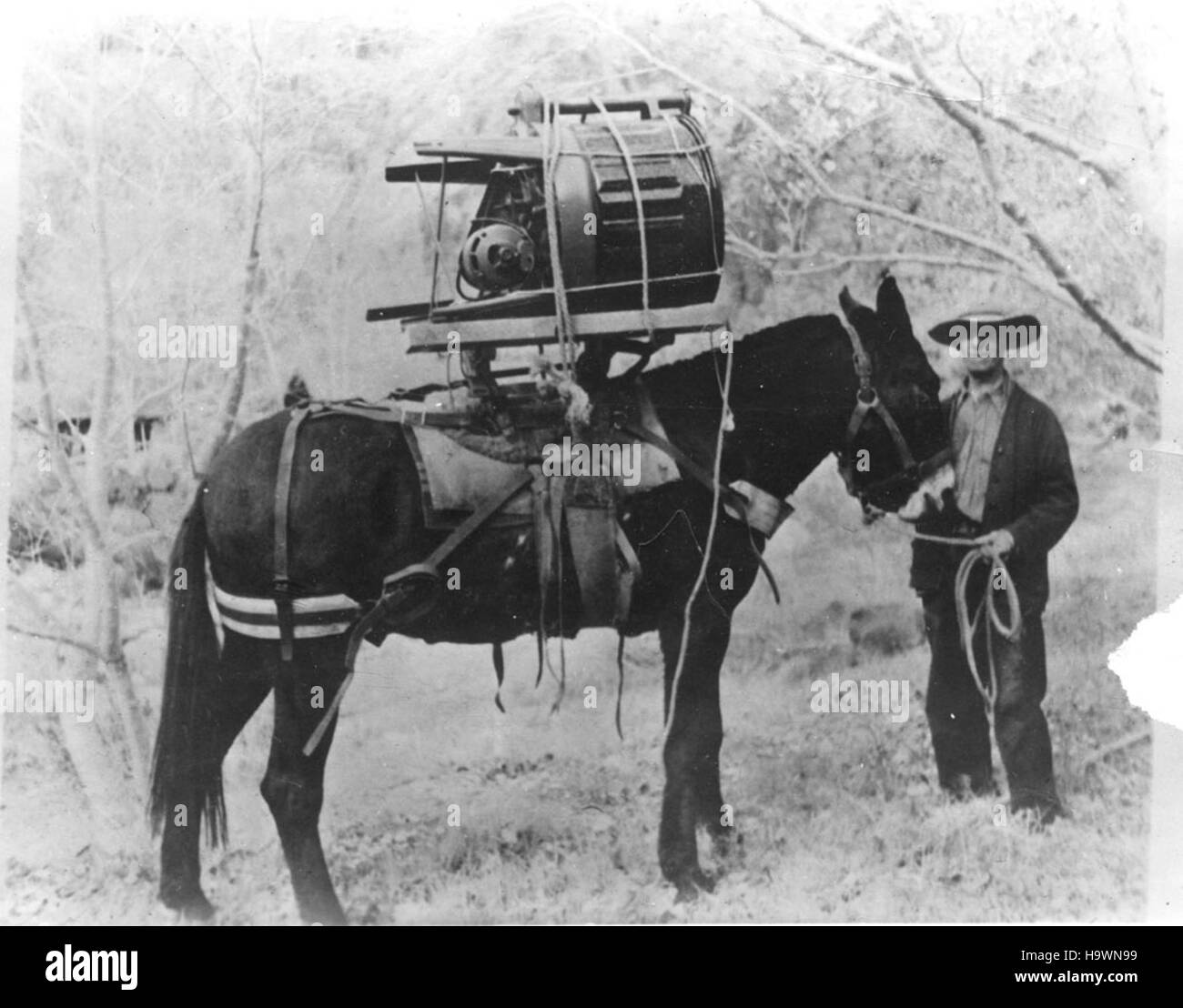 Les mules ont historiquement été utilisées pour transporter des fournitures le long de la piste Bright Angel Trail dans le parc national du Grand Canyon. Cette image montre une machine à laver transportée sur muleback, mettant en évidence les méthodes de transport uniques du parc dans son terrain accidenté. Banque D'Images