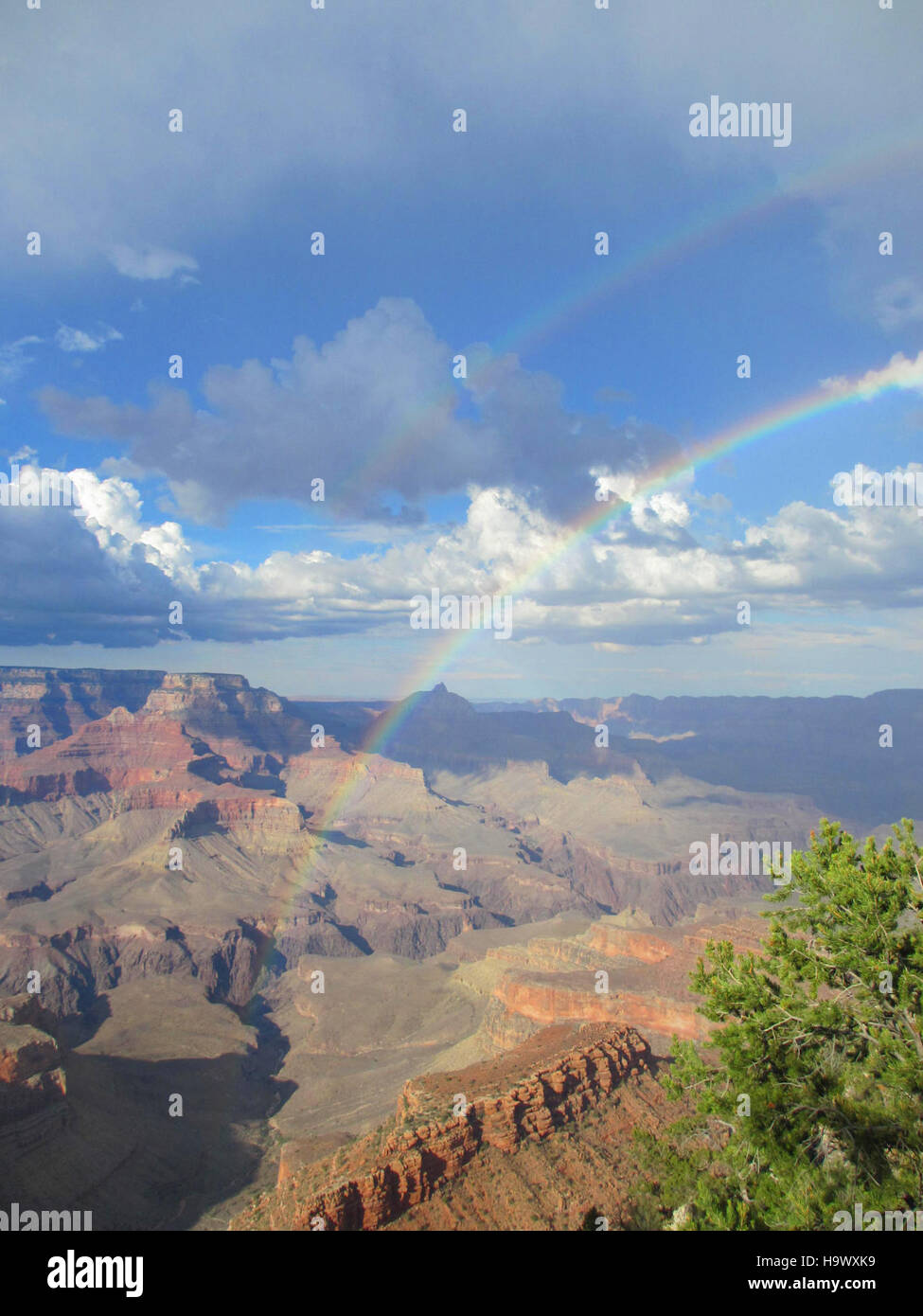 Cette photographie capture un arc-en-ciel époustouflant à Shoshone point, dans le parc national du Grand Canyon. Les couleurs vives de l'arc-en-ciel contrastent avec le vaste paysage rocheux du canyon, mettant en valeur la beauté naturelle de ce monument emblématique des États-Unis. Banque D'Images