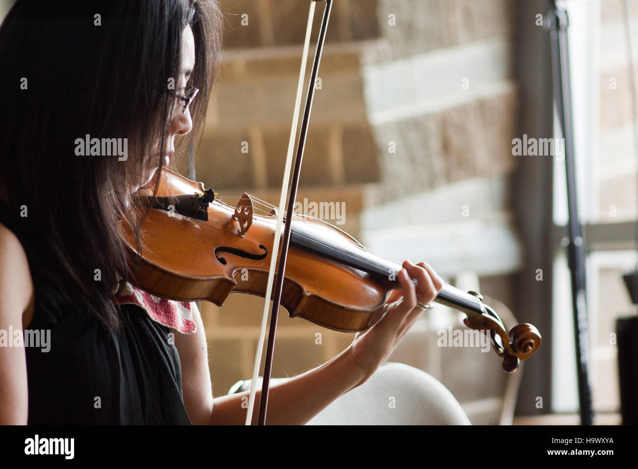 Une photographie capturant la vue imprenable du parc national Denali avec le pic Denali en arrière-plan, prise lors d'un concert EVC (Environmental conservation) dans le parc. Banque D'Images