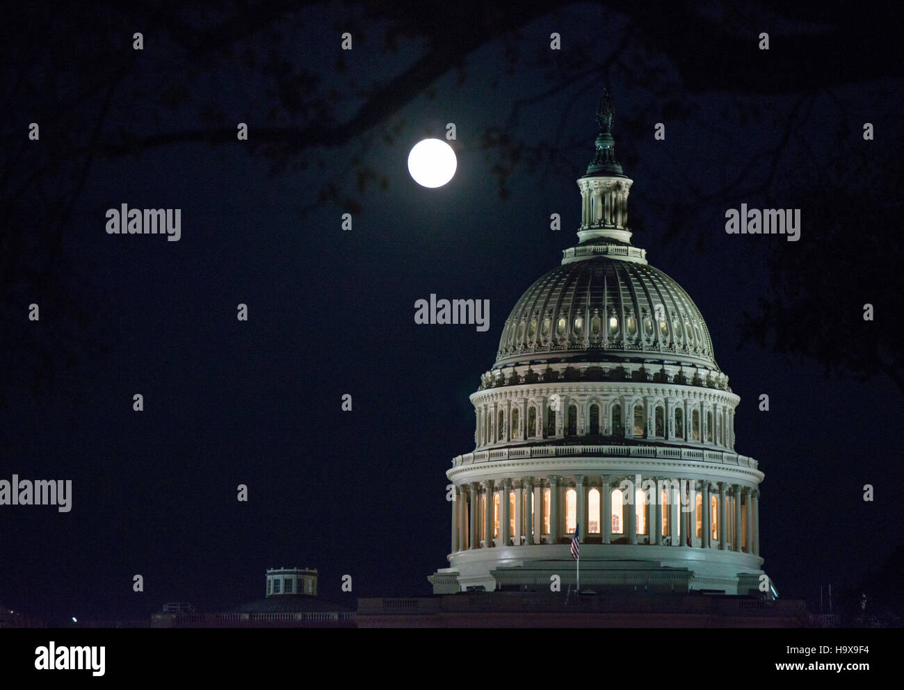 La pleine lune se lève sur la Capitole 13 novembre 2016 à Washington, DC. La lune apparaît 30  % plus lumineux et 14 pour cent plus grand qu'il est le plus près qu'il a été à la masse depuis 1948. Banque D'Images