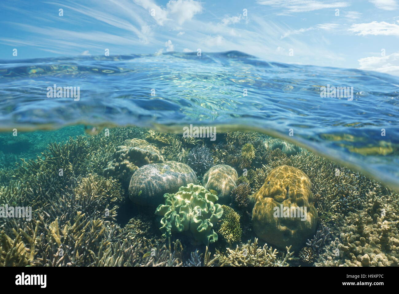 Au-dessus et au-dessous de l'eau, de coraux sous l'eau et ciel bleu avec des nuages divisés par flottaison, Nouvelle Calédonie, océan Pacifique sud Banque D'Images